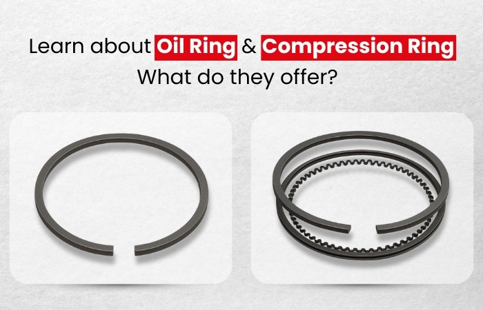 Oil ring and compression ring